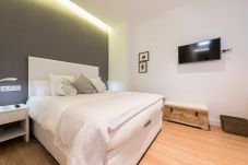 Apartment in Madrid - Opera Plaza