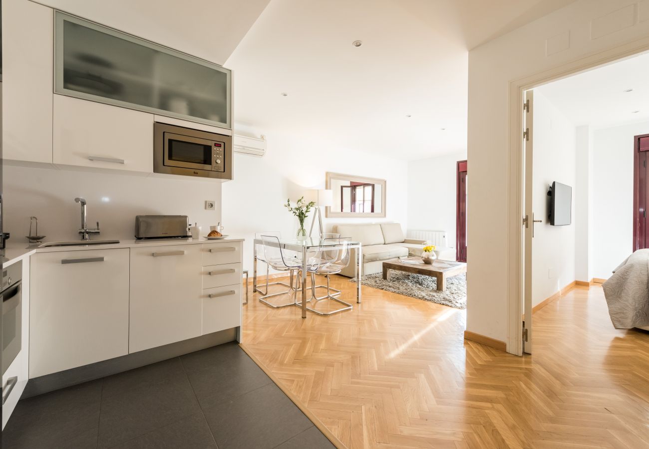 Apartment in Madrid - Downtown Urban