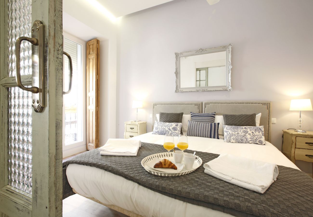 Apartment in Madrid - Reina Sofia Boutique I