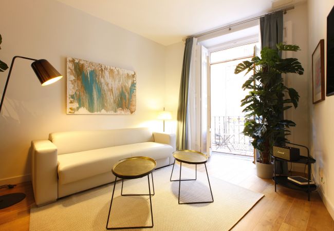 Apartment in Madrid - Tirso Design I