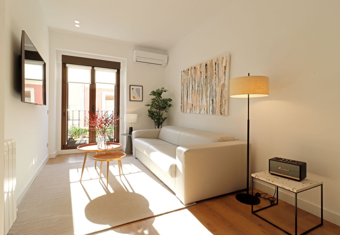Apartment in Madrid - Reina Sofia Boutique II