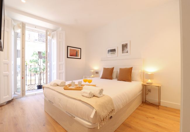 Apartment in Madrid - Reina Sofia Suite II